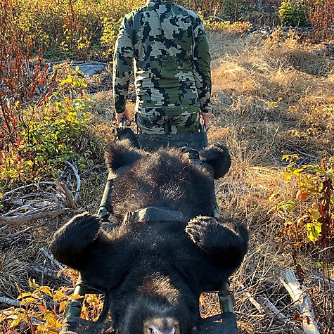 2019 Black Bear Season